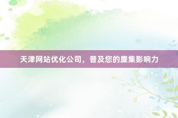 天津网站优化公司，普及您的麇集影响力