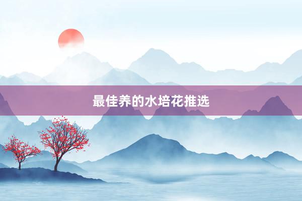 最佳养的水培花推选